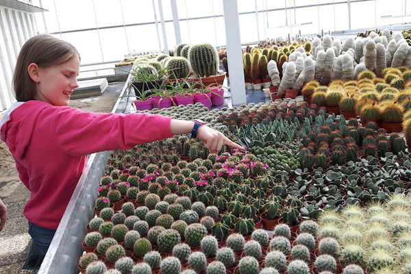 Voorkom dat je nog meer korting voor Belevingspark CactusOase mist