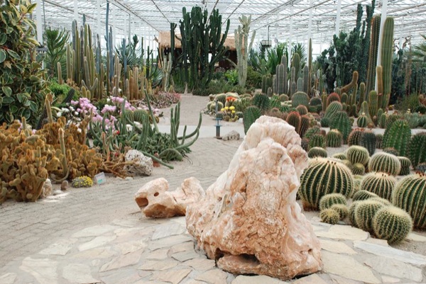 Prachtig park vol cactussen
