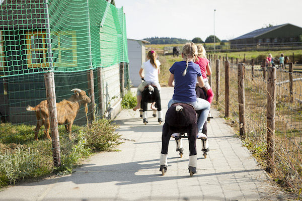 Maisdoolhof Speelboerderij: Rondrijden op de paardjes