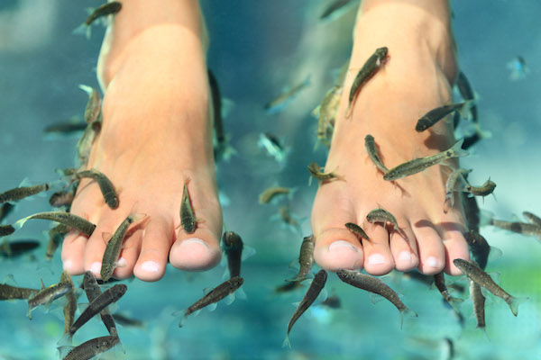 FishSpa Center Rotterdam: Voeten behandeling