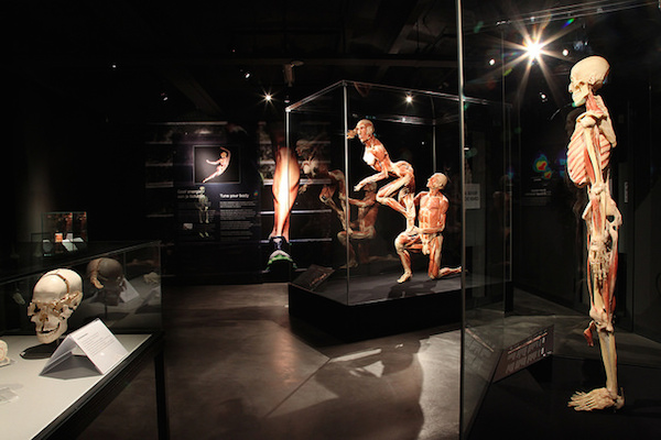 Voorkom dat je nog meer korting voor Body Worlds: The Happiness Project mist