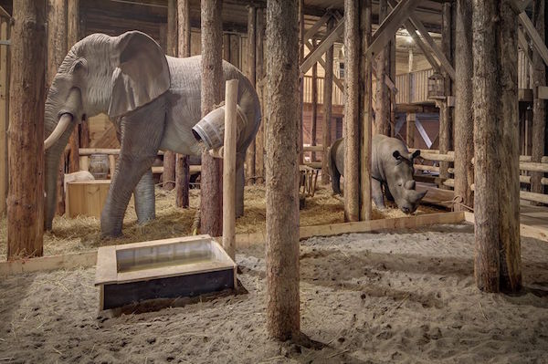 Ark van Noach: Levensgrote olifanten
