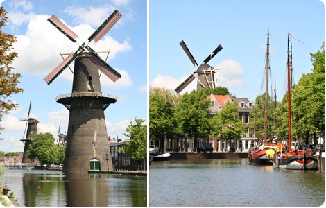 Museummolen De Nieuwe Palmboom in Schiedam