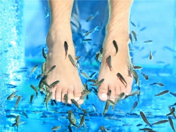 Fish spa behandeling bij Fish spa Lemile