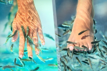 Fish Spa behandeling op hand en voet