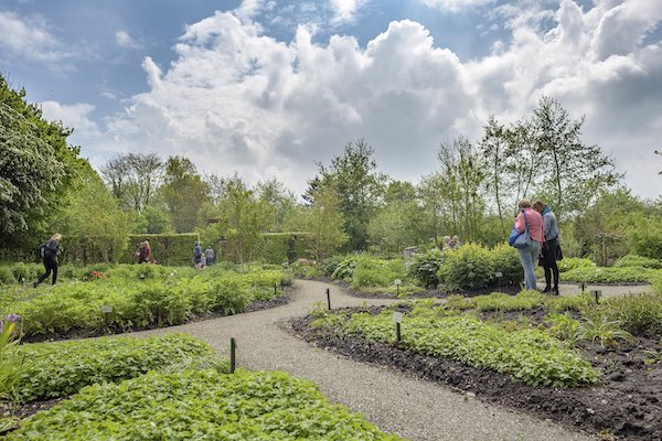 De Kruidhof hortus van Fryslân in Buitenpost