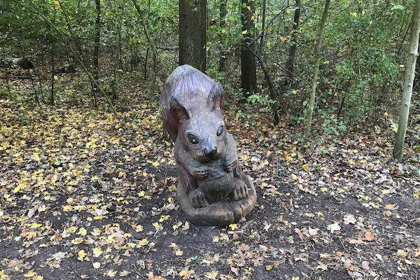 Bekende houten eekhoorn bij begin bos