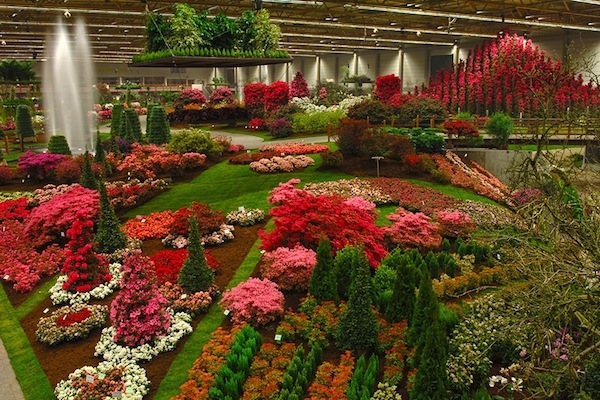 Bloemenpracht