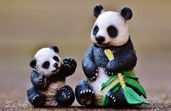 Volop Panda souvenirs in de Ouwehands souvenir shop