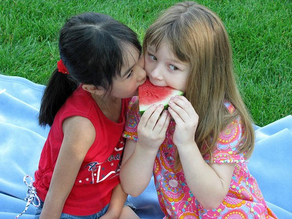 Picknicken in het bos lekker en gezellig