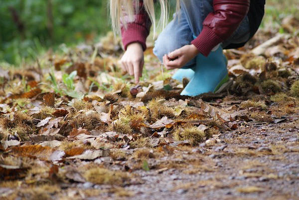 13 leuke spelletjes voor buiten of in het bos + Gratis Bos -