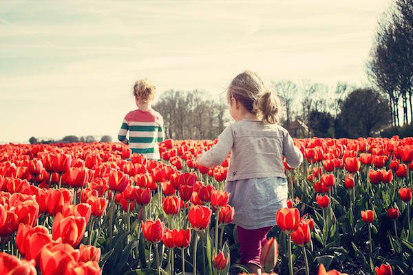 13 Tips voor een dagje uit in de Voorjaarsvakantie